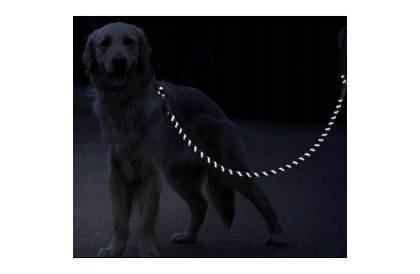 Silné výcvikové vodítko pre veľkého psa - 5 m