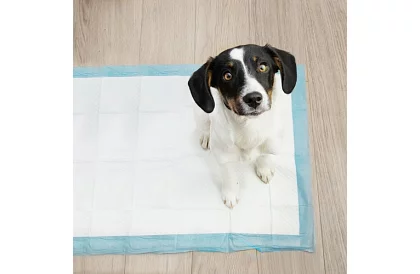 Absorpčné hygienické podložky 100 ks – 60x40 cm + vrecká na exkrementy