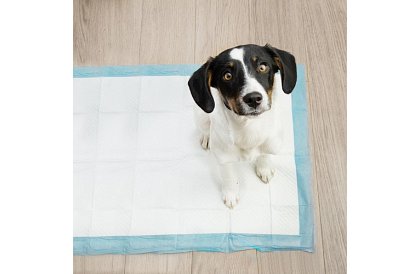 Absorpčné hygienické podložky 100 ks – 60x40 cm + vrecká na exkrementy