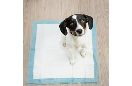 Absorpčné hygienické podložky 50 ks – 60x60 cm + vrecká na exkrementy