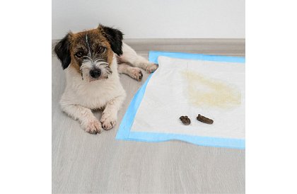 Absorpčné hygienické podložky 50 ks – 60x60 cm + vrecká na exkrementy