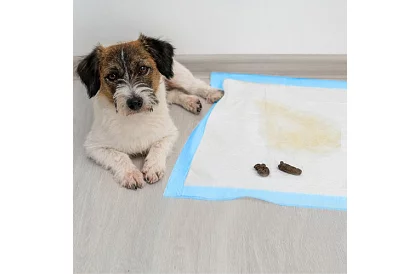 Absorpčné hygienické podložky 100 ks – 60x60 cm + vrecká na exkrementy