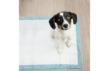 Absorpčné hygienické podložky 100 ks – 60x90 cm + vrecká na exkrementy