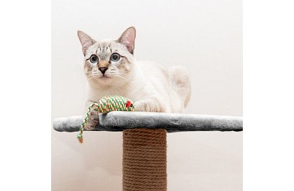 Šedé škrabadlo pre mačky - 71 x 44 x 34 cm