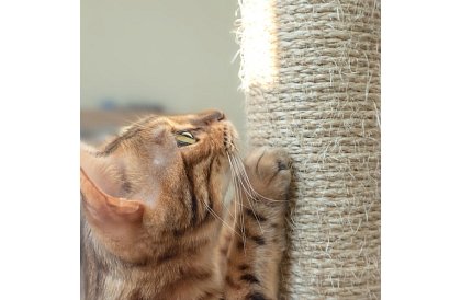 Šedé škrabadlo pre mačky - 71 x 44 x 34 cm