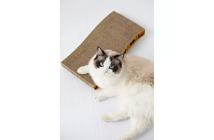Mobilné škrabadlo pre mačku – 22,5 x 43 cm