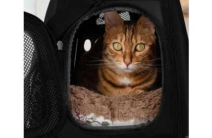 Prepravka - cestovná taška na zvieratá - čierna