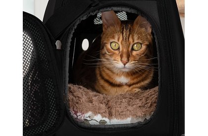 Prepravka - cestovná taška na zvieratá - čierna
