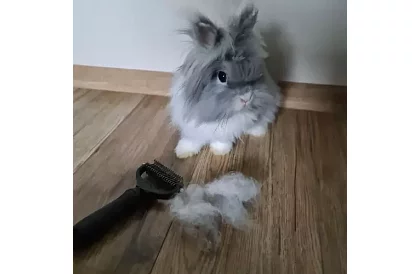 Hrebeň na srsť a podsadu