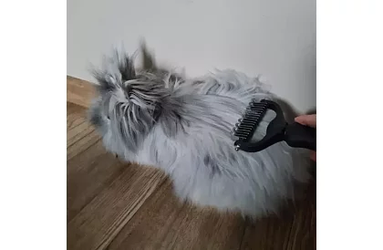 Hrebeň na srsť a podsadu