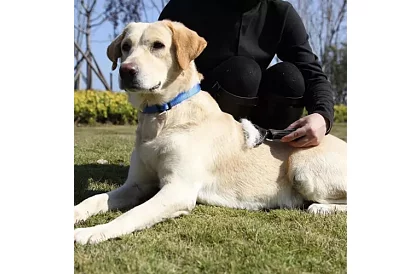 Hrebeň na srsť a podsadu