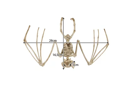 Kostra netopiera 30 cm - halloweenská dekorácia