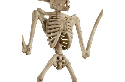 Kostra netopiera 30 cm - halloweenská dekorácia