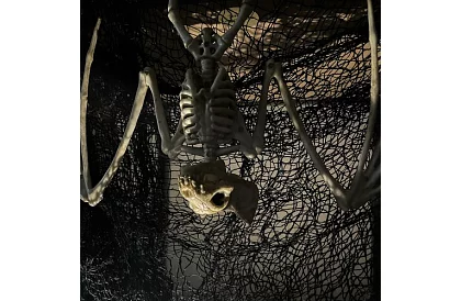 Kostra netopiera 30 cm - halloweenská dekorácia