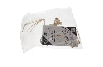 Kostra netopiera 30 cm - halloweenská dekorácia