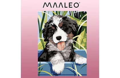 Malovanie podľa čísel - pes - 40x30 cm