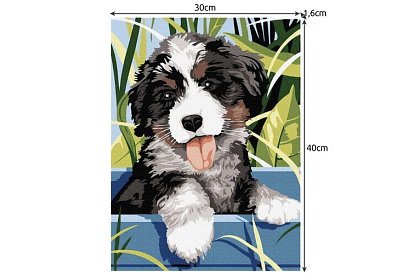 Malovanie podľa čísel - pes - 40x30 cm