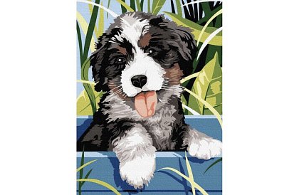 Malovanie podľa čísel - pes - 40x30 cm