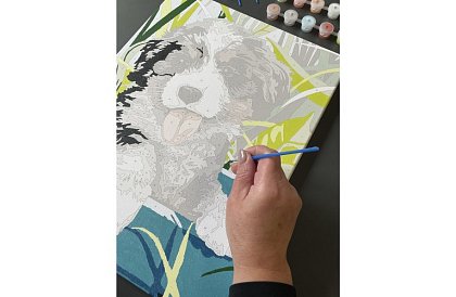 Malovanie podľa čísel - pes - 40x30 cm