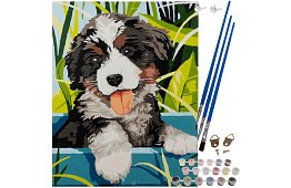 Malovanie podľa čísel - pes - 40x30 cm