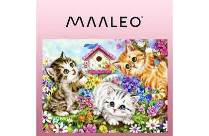 Malovanie podľa čísel - mačky - 40x50 cm