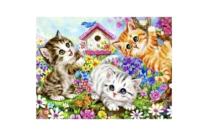 Malovanie podľa čísel - mačky - 40x50 cm