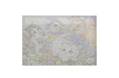 Malovanie podľa čísel - mačky - 40x50 cm