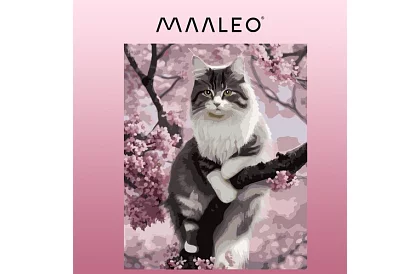 Malovanie podľa čísel - mačka - 40x50 cm