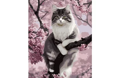 Malovanie podľa čísel - mačka - 40x50 cm