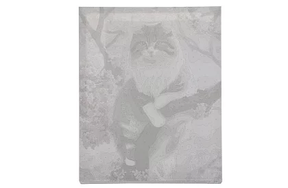 Malovanie podľa čísel - mačka - 40x50 cm