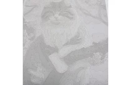 Malovanie podľa čísel - mačka - 40x50 cm