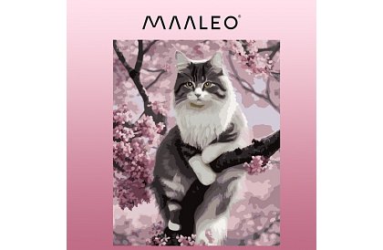 Malovanie podľa čísel - mačka - 40x50 cm