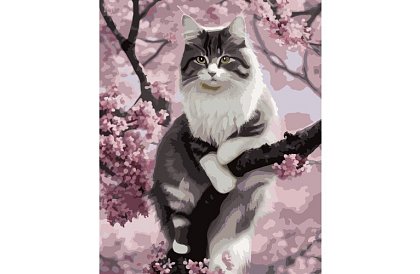 Malovanie podľa čísel - mačka - 40x50 cm