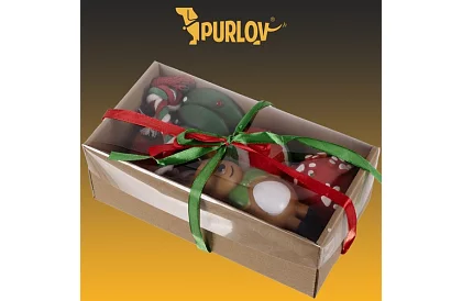 Sada hračiek pre psa - 6 kusov