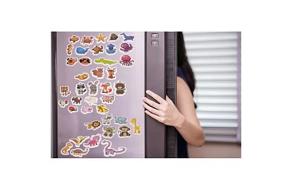 Sada 40 magnetov so zvieratkami v boxe