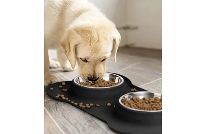 Dvojitá miska s podložkou – 2 × 450 ml