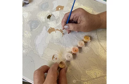 Malovanie podľa čísel - líška - 40x50 cm