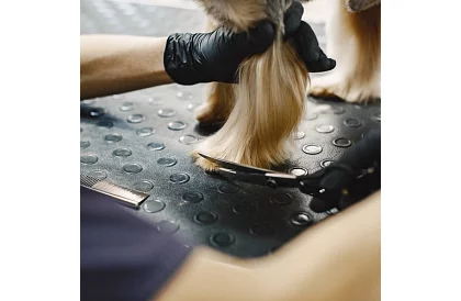 Sada na úpravu a strihanie psov v puzdre