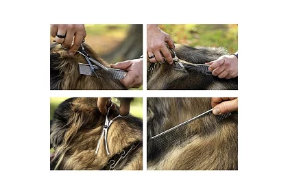 Sada na úpravu a strihanie psov v puzdre