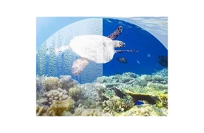 Šnorchlovacia celoobličejová maska - veľkosť S/M