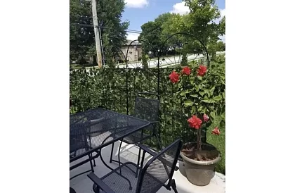 Umelý živý plot 300 cm – Brečtan