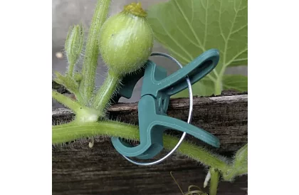 Klipy na upevňovanie rastlín 108 ks