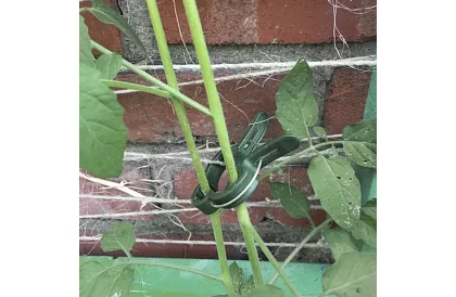 Klipy na upevňovanie rastlín 108 ks