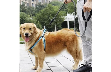 Vodítko pre psa silné s reflexnými prvkami – 3 m