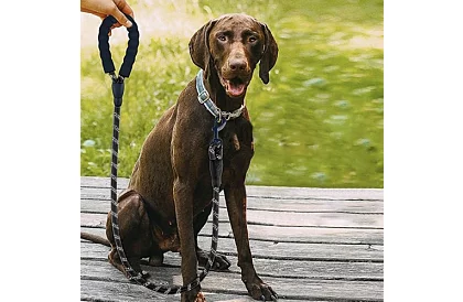 Vodítko pre psa silné s reflexnými prvkami – 3 m