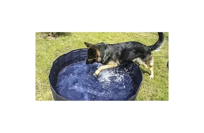 Skladací bazén pre psov – 120 × 30 cm